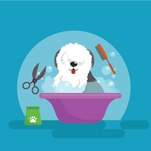 pet grooming and hygiene